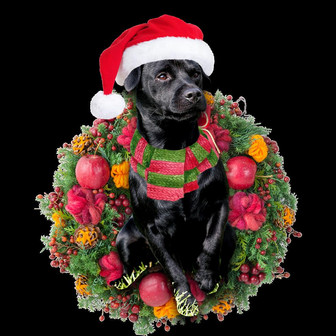 Ornament- Patterdale Terrier Christmas Ornament, Happy Christmas Ornament, Car Ornament - Thegiftio UK