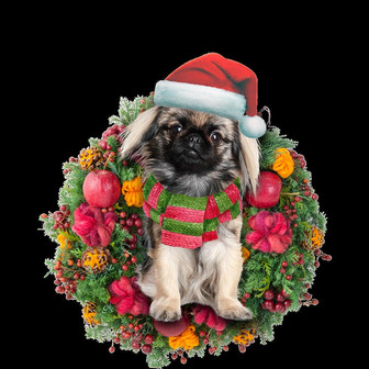 Ornament- Pekingese Christmas Ornament, Happy Christmas Ornament, Car Ornament - Thegiftio UK