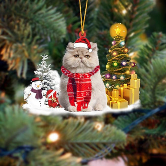 Ornament- Persian Cat Christmas Ornament Dog Ornament, Car Ornament, Christmas Ornament - Thegiftio UK