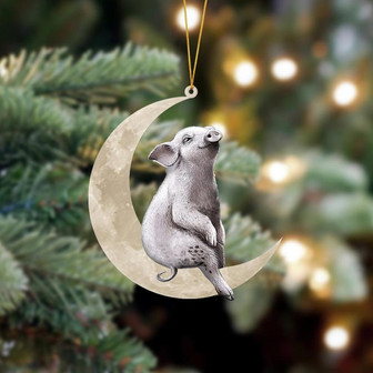 Ornament- Pig Sits On The Moon Hanging Ornament Dog Ornament, Car Ornament, Christmas Ornament - Thegiftio UK