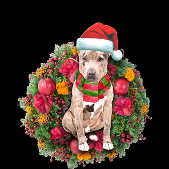 Ornament- Pit Bull Christmas Ornament, Happy Christmas Ornament, Car Ornament - Thegiftio UK