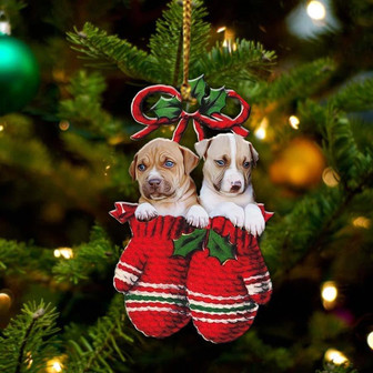 Ornament- Pitbull Inside Your Gloves Christmas Holiday-Two Sided Ornament, Christmas Ornament, Car Ornament - Thegiftio UK