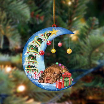 Ornament- Pitbull-Sleep On The Moon Christmas Two Sided Ornament, Happy Christmas Ornament, Car Ornament - Thegiftio UK
