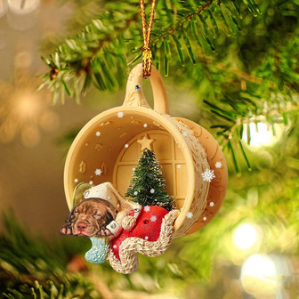 Ornament- Pitbull Sleeping In A Cup Christmas Ornament Dog Ornament, Car Ornament, Christmas Ornament - Thegiftio UK