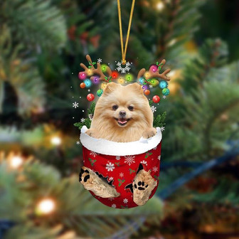 Ornament- Pomeranian-In Christmas Pocket Two Sides Ornament, Happy Christmas Ornament, Car Ornament - Thegiftio UK