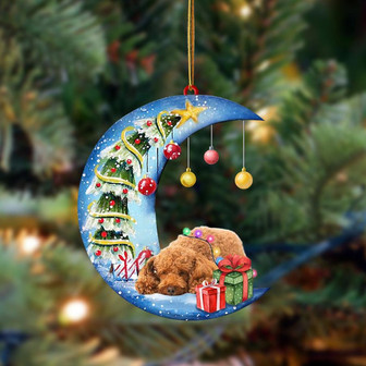 Ornament- Poodle1-Sleep On The Moon Christmas Two Sided Ornament, Happy Christmas Ornament, Car Ornament - Thegiftio UK