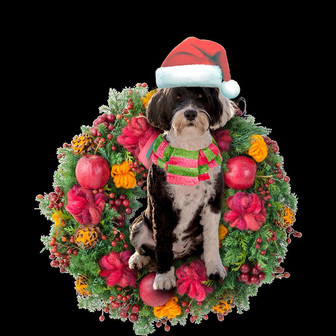 Ornament- Portuguese Water Dog Christmas Ornament, Happy Christmas Ornament, Car Ornament - Thegiftio UK