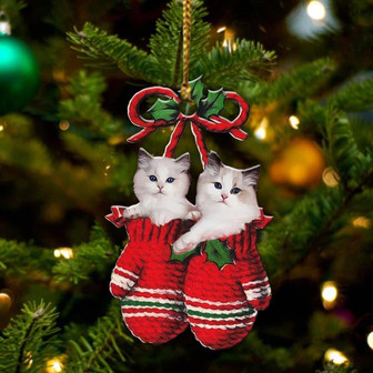 Ornament- Ragdoll Inside Your Gloves Christmas Holiday-Two Sided Ornament, Christmas Ornament, Car Ornament - Thegiftio UK
