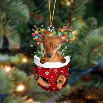Ornament- RED Miniature Pinscher-In Christmas Pocket Two Sides Ornament, Christmas Ornament, Car Ornament - Thegiftio UK