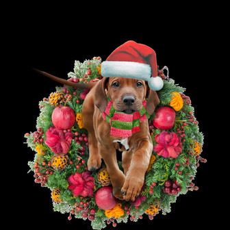 Ornament- Rhodesian Ridgeback Christmas Ornament, Happy Christmas Ornament, Car Ornament - Thegiftio UK