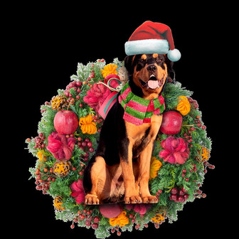 Ornament- Rottweiler Christmas Ornament, Happy Christmas Ornament, Car Ornament - Thegiftio UK