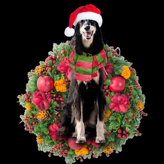 Ornament- Saluki Christmas Ornament, Happy Christmas Ornament, Car Ornament - Thegiftio UK