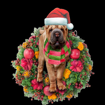 Ornament- Shar Pei Christmas Ornament, Happy Christmas Ornament, Car Ornament - Thegiftio UK