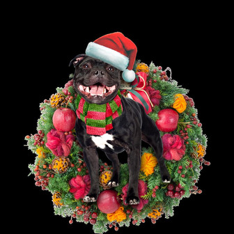 Ornament- Staffordshire Bull Terrier Christmas Ornament, Happy Christmas Ornament, Car Ornament - Thegiftio UK