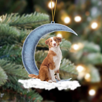 Ornament- Toller Sits On The Moon Hanging Ornament Dog Ornament, Car Ornament, Christmas Ornament - Thegiftio UK