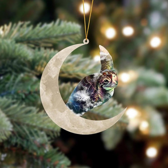 Ornament- Turtle Sits On The Moon Hanging Ornament Dog Ornament, Car Ornament, Christmas Ornament - Thegiftio UK