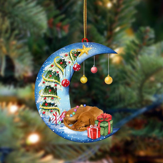 Ornament- Vizsla-Sleep On The Moon Christmas Two Sided Ornament, Happy Christmas Ornament, Car Ornament - Thegiftio UK