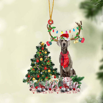 Ornament- Weimaraner 1-Christmas Tree Gift Hanging Ornament, Happy Christmas Ornament, Car Ornament - Thegiftio UK