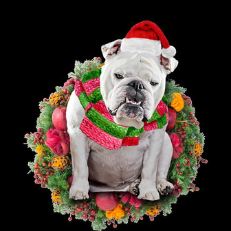 Ornament- White Bulldog Christmas Ornament, Happy Christmas Ornament, Car Ornament - Thegiftio UK