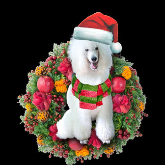 Ornament- White Poodle Christmas Ornament, Happy Christmas Ornament, Car Ornament - Thegiftio UK