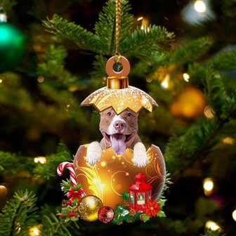 Pitbull In Golden Egg Christmas Ornament - Thegiftio UK
