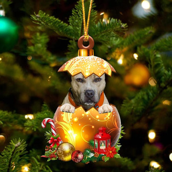 Pitbull .In Golden Egg Christmas Ornament - Thegiftio