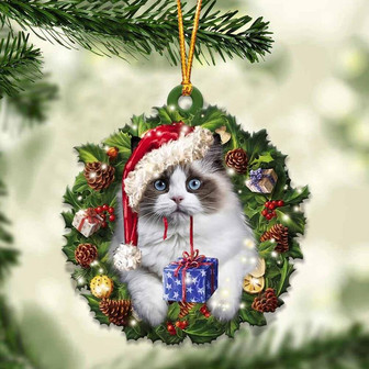 Ragdoll and Christmas gift for her gift for him gift for Ragdoll lover ornament, Christmas Ornament - Thegiftio UK