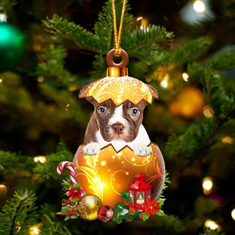 RED Boston Terrier In Golden Egg Christmas Ornament - Thegiftio UK