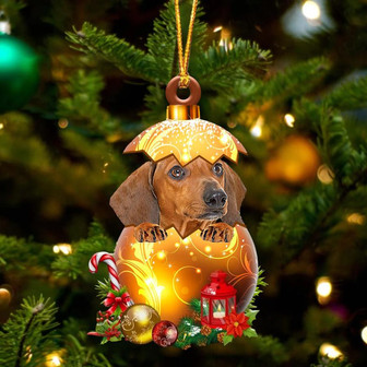 RED Dachshund In Golden Egg Christmas Ornament - Thegiftio UK