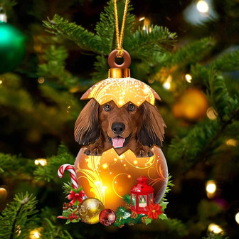 RED LONG HAIRED Dachshund In Golden Egg Christmas Ornament - Thegiftio UK