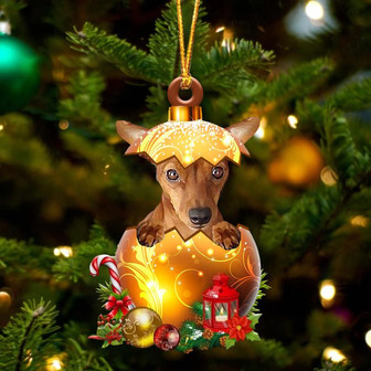 RED Miniature Pinscher In Golden Egg Christmas Ornament - Thegiftio UK