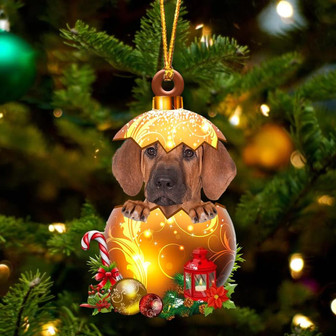 Rhodesian Ridgeback In Golden Egg Christmas Ornament - Thegiftio UK