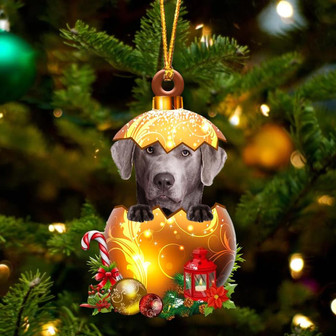 SILVER Labrador In Golden Egg Christmas Ornament - Thegiftio