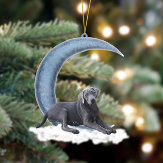Silver Labrador Retriever Sits On The Moon Hanging Ornament Dog Ornament, Car Ornament, Christmas Ornament - Thegiftio UK