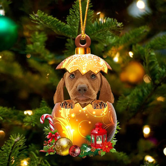 Vizsla In Golden Egg Christmas Ornament - Thegiftio