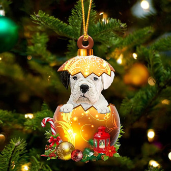 WHITE Boxer In Golden Egg Christmas Ornament - Thegiftio UK