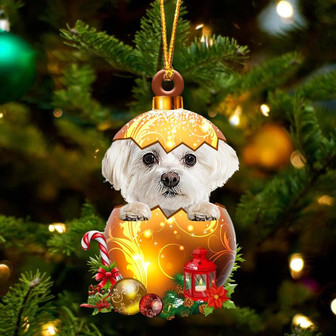 WHITE Maltese In Golden Egg Christmas Ornament - Thegiftio UK