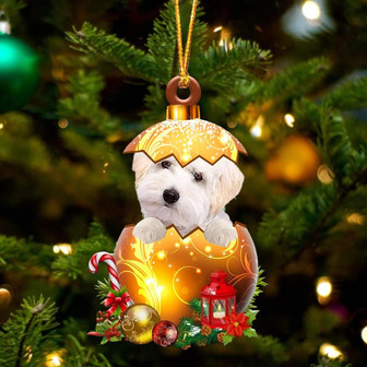 WHITE Maltipoo In Golden Egg Christmas Ornament - Thegiftio