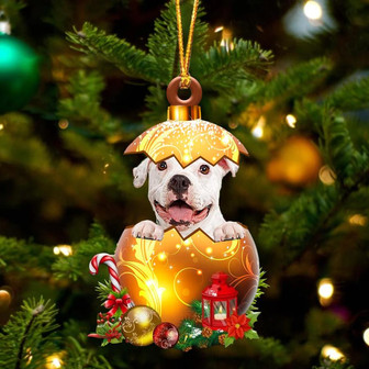 WHITE Pitbull In Golden Egg Christmas Ornament - Thegiftio