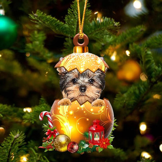 YorkShire Terrier .In Golden Egg Christmas Ornament - Thegiftio UK