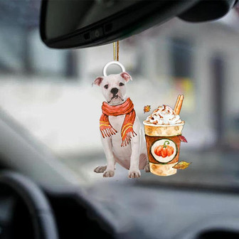 American Bulldog 2-Pumpkin Spice Kinda-Two Sided Ornament - Thegiftio UK