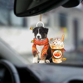 Australian Shepherd 1-Pumpkin Spice Kinda-Two Sided Ornament - Thegiftio UK
