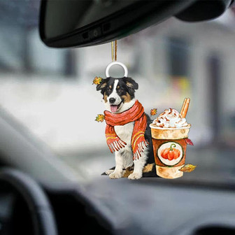 Australian Shepherd 2-Pumpkin Spice Kinda-Two Sided Ornament - Thegiftio UK