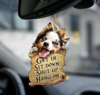 Australian shepherd get in two sided ornament - Thegiftio UK