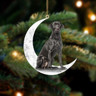 Black Labrador 2-Sit On The Moon-Two Sided Ornament - Thegiftio UK