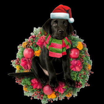 Black Labrador Retriever Car Ornament - Thegiftio UK