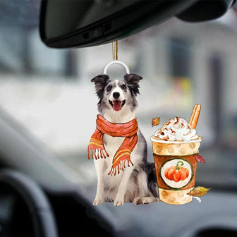 Blue Merle Collie-Pumpkin Spice Kinda-Two Sided Ornament - Thegiftio UK
