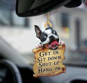 Boston terrier get in boston terrier lover two sided ornament - Thegiftio UK