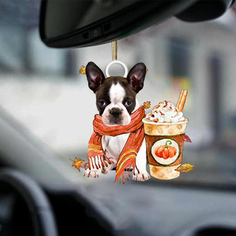 Boston Terrier-Pumpkin Spice Kinda-Two Sided Ornament - Thegiftio UK