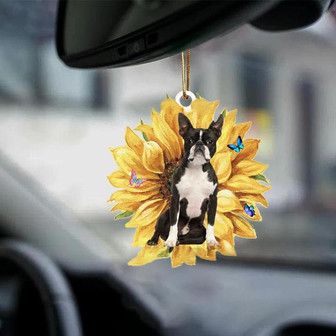 Boston Terrier-The Sunshine-Two Sided Ornament - Thegiftio UK